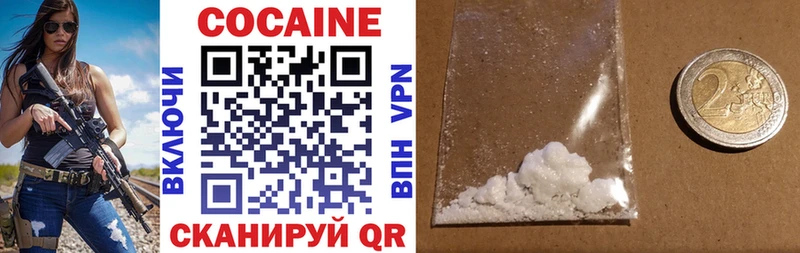 COCAIN Fish Scale  Купить закладки  Надым 