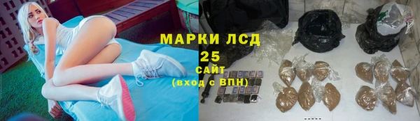 spice Туринск