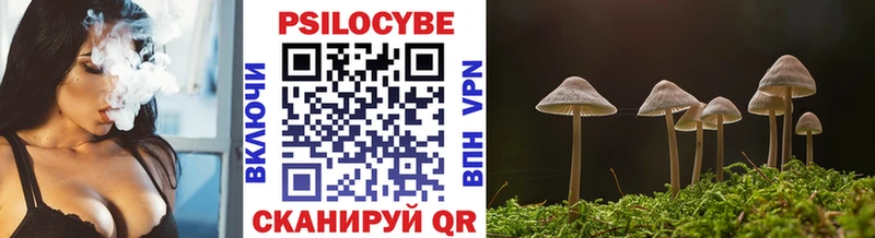 Купить  Надым  Галлюциногенные грибы MAGIC MUSHROOMS 